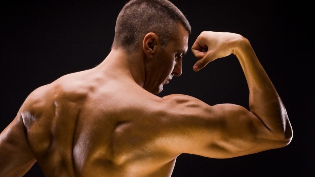 Protein Supplement In Raipur