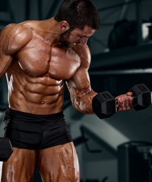 Protein Supplement In Raipur