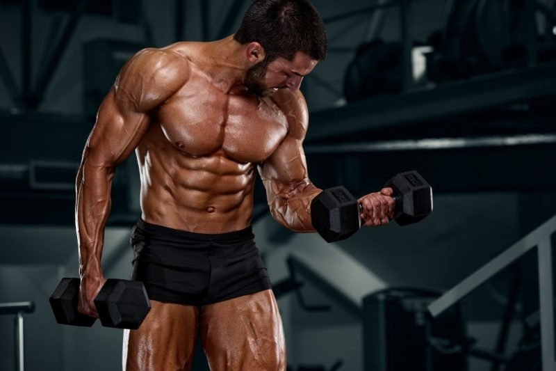 Protein Supplement In Raipur