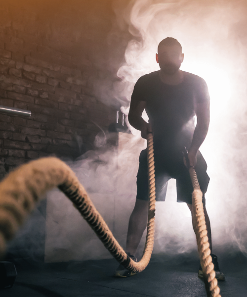 Protein Supplement In Raipur